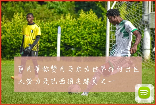 萨内蒂称赞内马尔为世界杯付出巨大努力是巴西顶尖球员之一