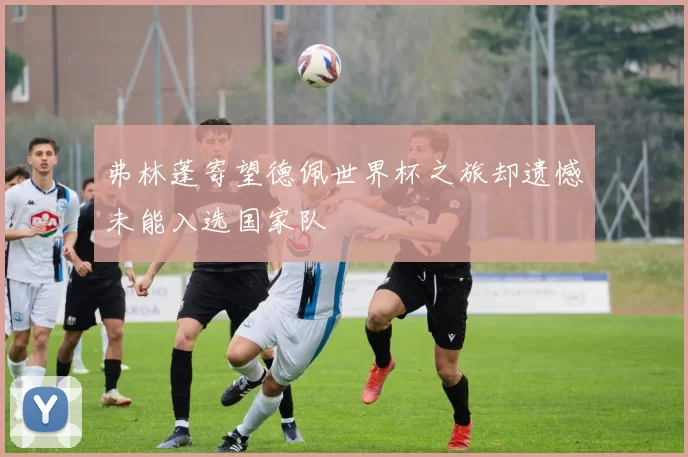 弗林蓬寄望德佩世界杯之旅却遗憾未能入选国家队